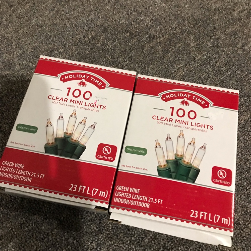 Holiday Lights-100 clear mini lights